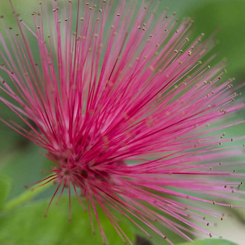 Afbeelding bij Therapeutische behandelingen